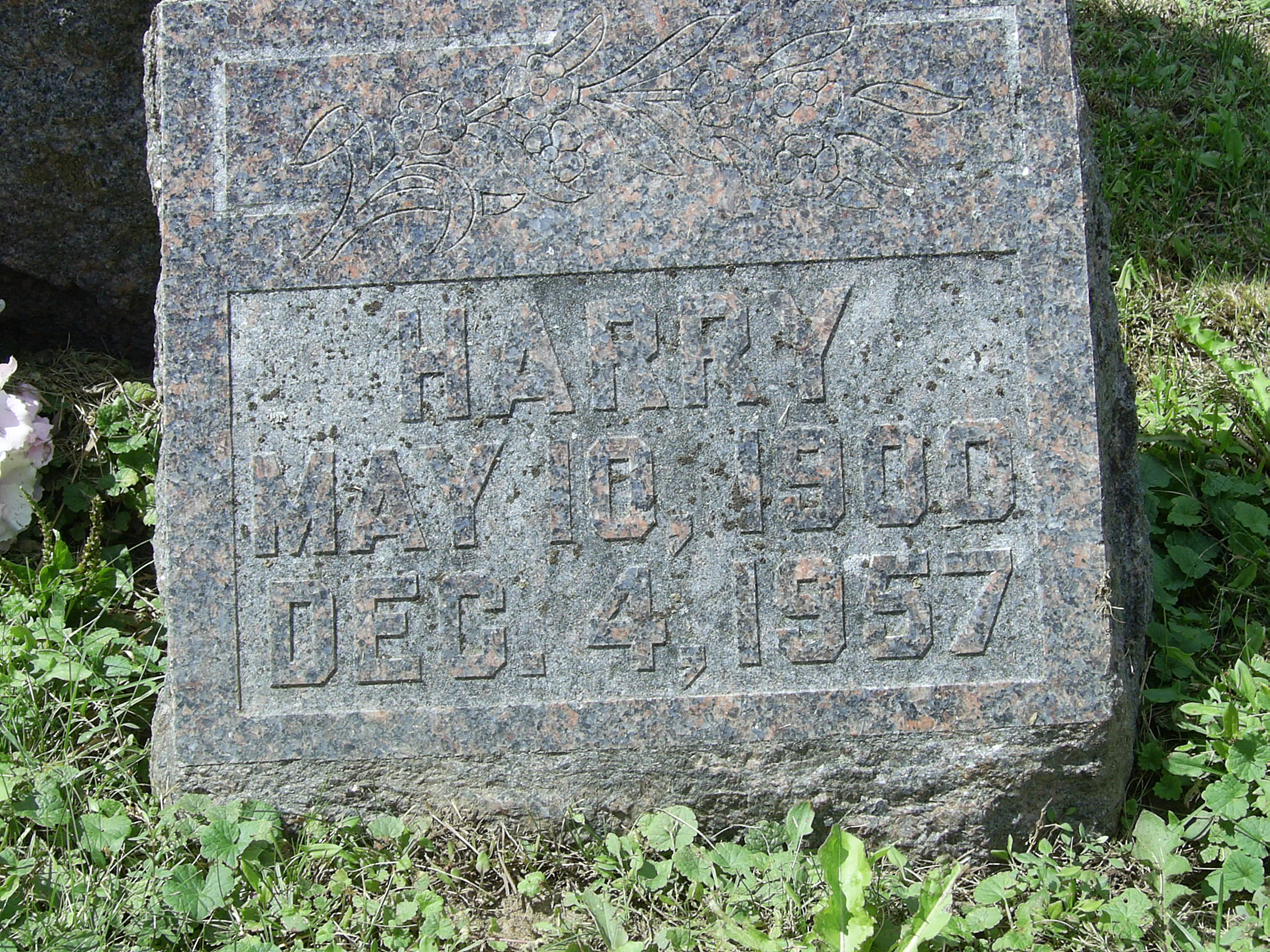 Harry Nelson